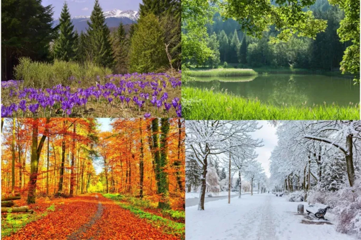 Test de personalidad: ¿qué dice sobre vos tu estación del año favorita?