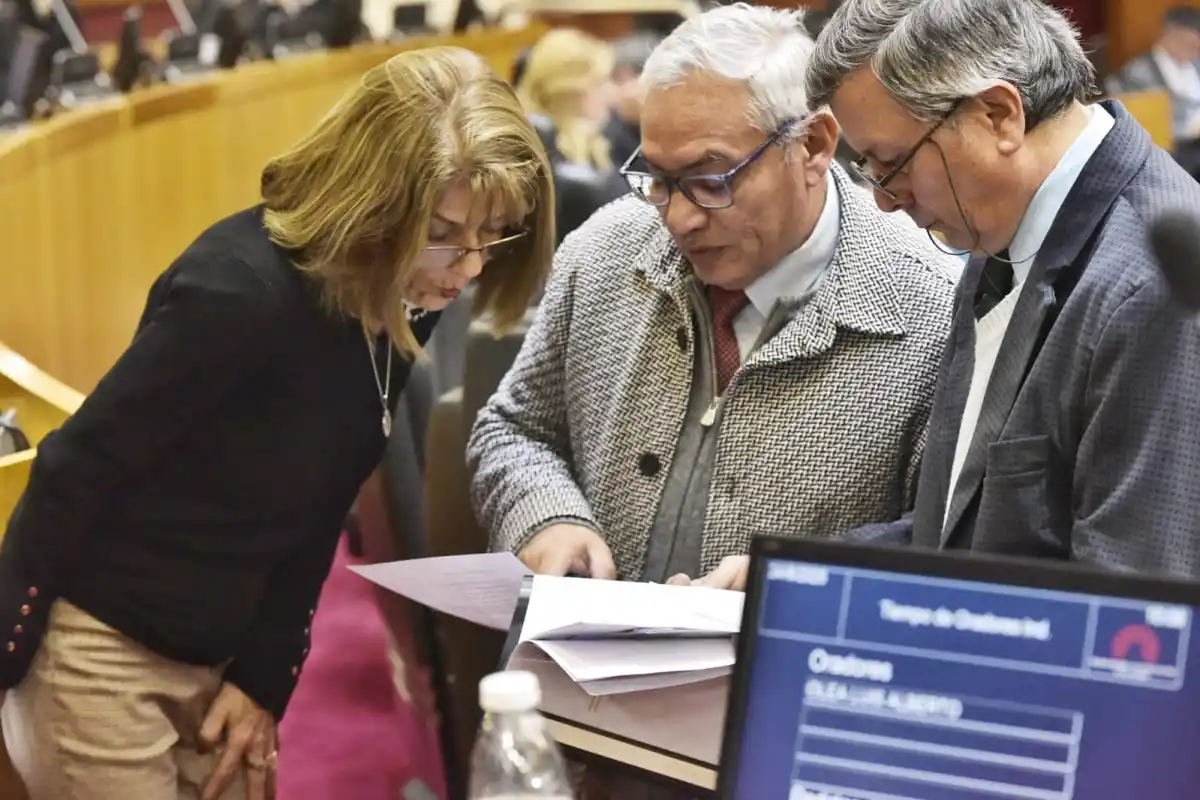 Digesto Jurídico: en la primera sesión, llevaron al recinto más de 750 leyes