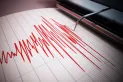 Temblor en Chile: se registró un sismo de magnitud 4.5 en la ciudad de San Pedro