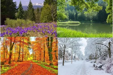 Test de personalidad: ¿qué dice sobre vos tu estación del año favorita?