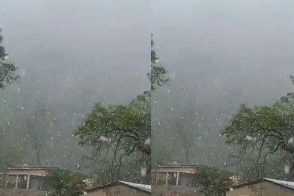 ¿Dónde nevó en el norte del país? Las provincias sorprendidas por el frío extremo