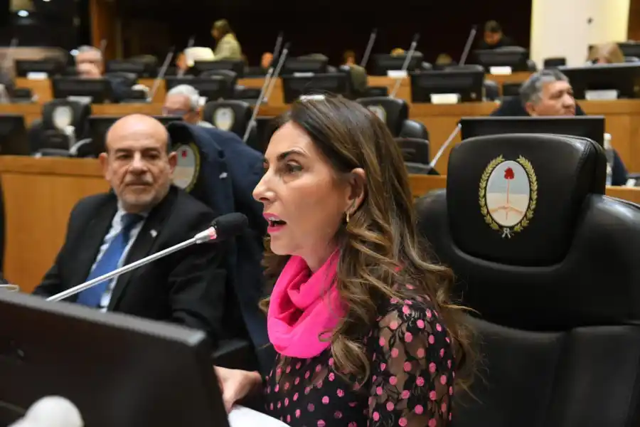 Digesto Jurídico: en la primera sesión, llevaron al recinto más de 750 leyes