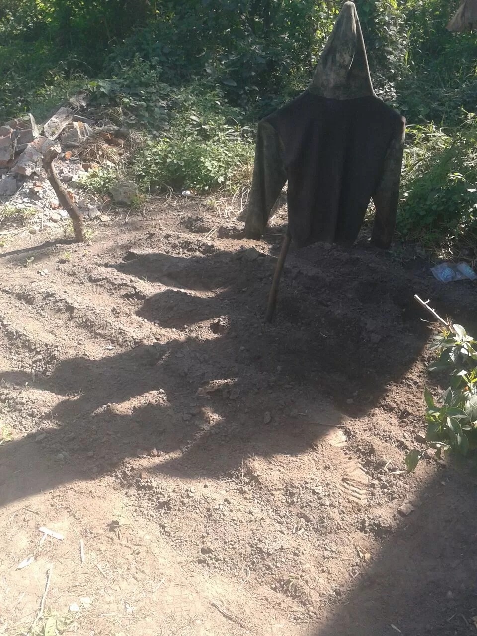 UN SÍMBOLO.  El espantapájaros descubierto en un plantío de marihuana.