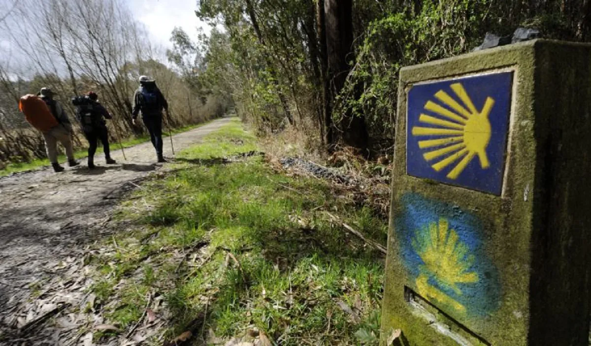 El Camino de Santiago en España es mucho más que una caminata: es una experiencia transformadora que combina naturaleza, historia, espiritualidad y cultura.