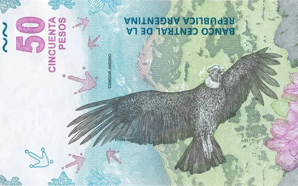 Podés tener un tesoro en tu bolsillo: buscan billetes de 50 pesos y pagan una fortuna