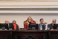 El Senado de Buenos Aires aprobó la reelección indefinida de los legisladores provinciales