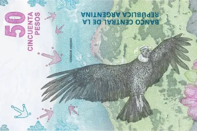 Podés tener un tesoro en tu bolsillo: buscan billetes de 50 pesos y pagan una fortuna