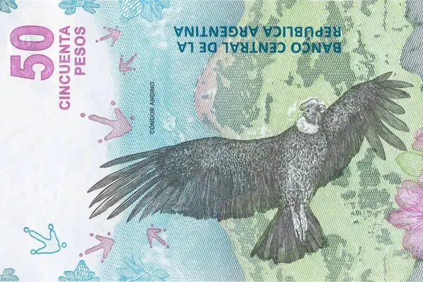 Podés tener un tesoro en tu bolsillo: buscan billetes de 50 pesos y pagan una fortuna