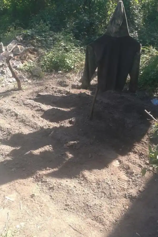 UN SÍMBOLO.  El espantapájaros descubierto en un plantío de marihuana.