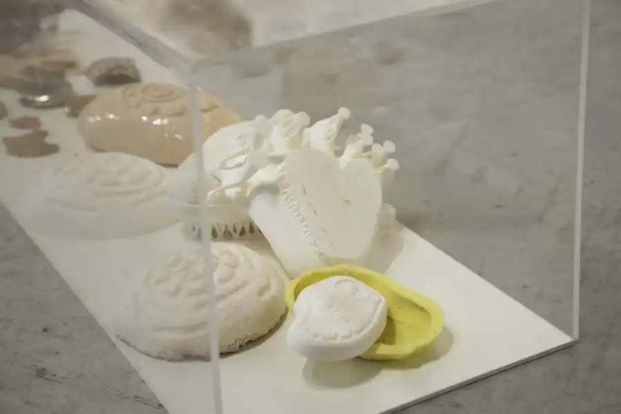 Micelio: cómo es el material sustentable que llega para cambiar la industria del packaging