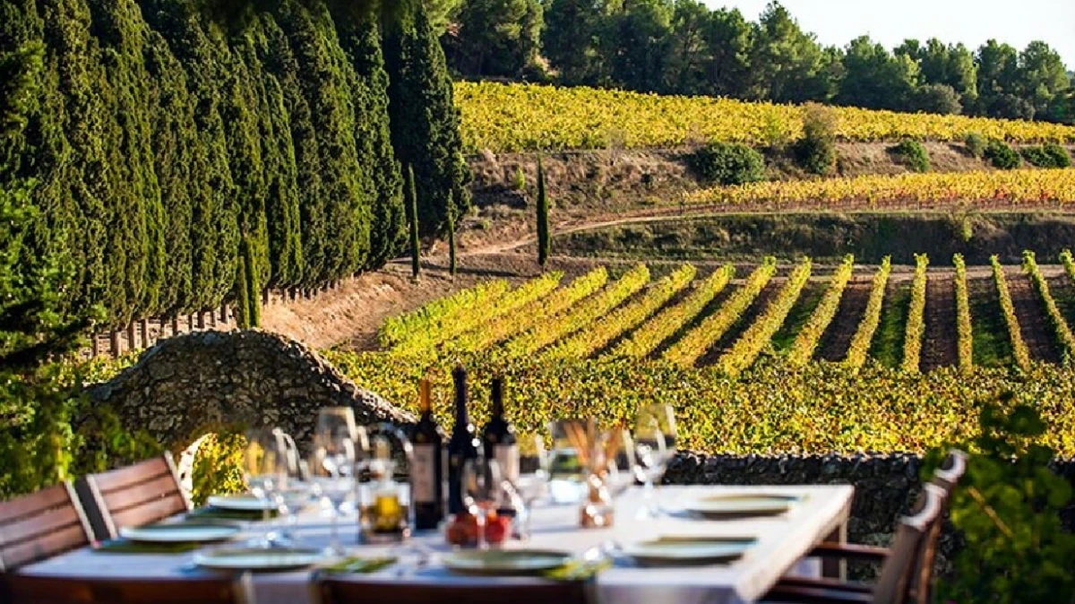 Gastronomía y enoturismo, muy cerca de Barcelona