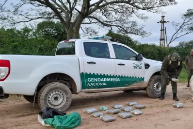 Efectivos de Gendarmería encontraron más de 29 kilos de droga entre la maleza