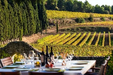 Gastronomía y enoturismo, muy cerca de Barcelona