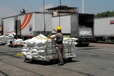 Mercado mundial del azúcar: señales mixtas y desafíos clave