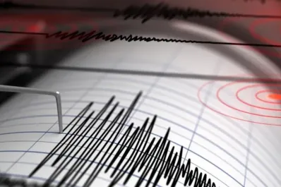 Temblor en el sur de Chile: un sismo de magnitud 3.0 sacudió a La Araucanía