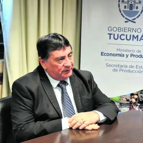 LIBRE. El ex intendente Luis Campos sigue el proceso en libertad.