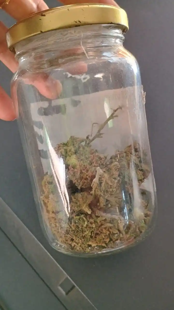 Los policías hallaron marihuana en la casa del concejal Leru.