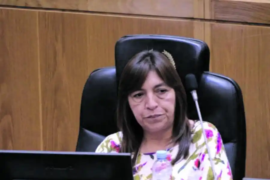 CUESTIONADA. La legisladora Sandra Figueroa volvió a la Cámara.