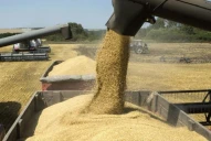 ¿Cuántos dólares aportará el agro durante esta campaña?