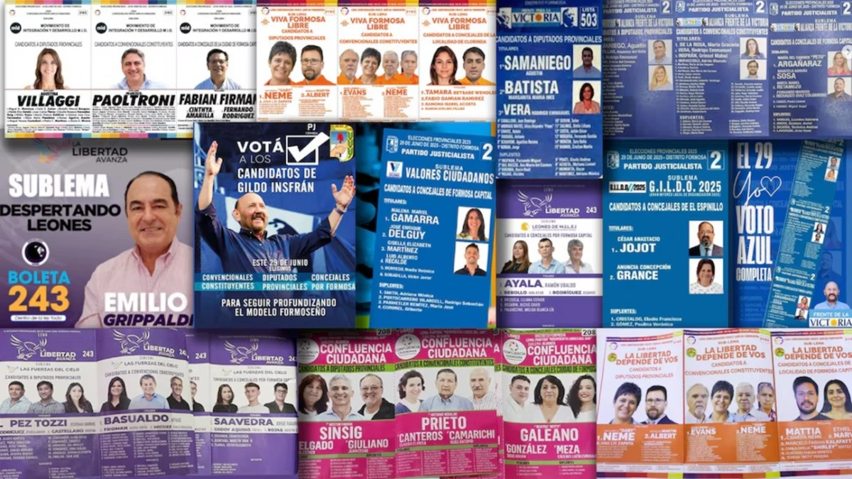 FORMOSA. En esta elección se presentan 78 sublemas de 4 agrupaciones políticas.