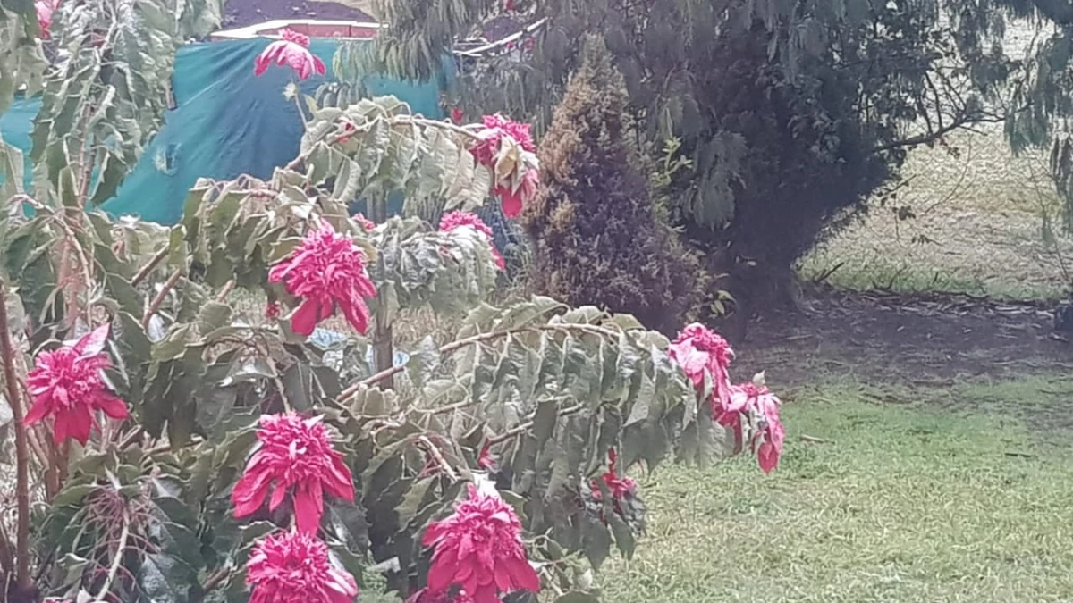 Cristofer Brito pronosticó un mayor descenso de la temperatura para mañana en Tucumán