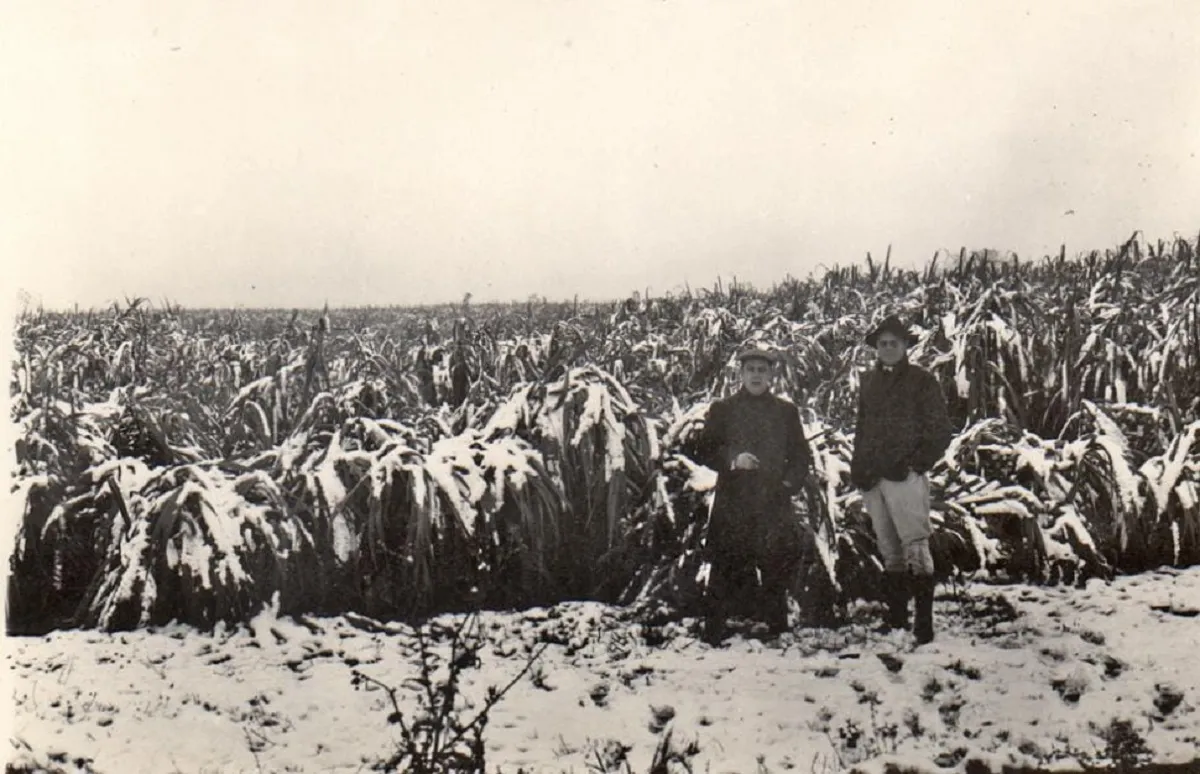 La nevada de 1920: el invierno que transformó a Tucumán en una postal patagónica