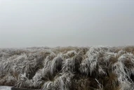 Cómo se produce la nieve y qué hacer ante una nevada o ventisca en Argentina