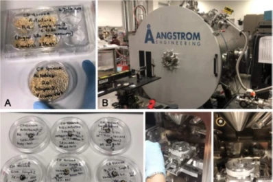 Quinoa en la Estación Espacial: ciencia para la Tierra y más allá