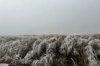 Cómo se produce la nieve y qué hacer ante una nevada o ventisca en Argentina