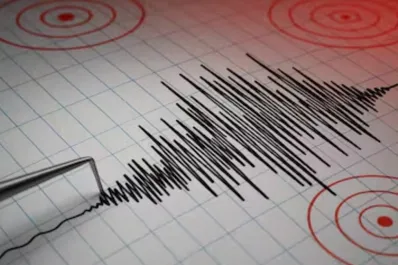 Susto en Chile: un temblor de 4.6 de magnitud sacudió Coquimbo en plena madrugada
