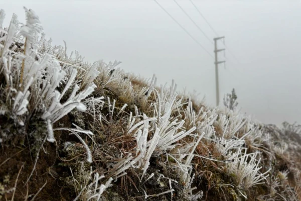 Heladas, cortes en la ruta y la expectativa de nieve en Tafí del Valle