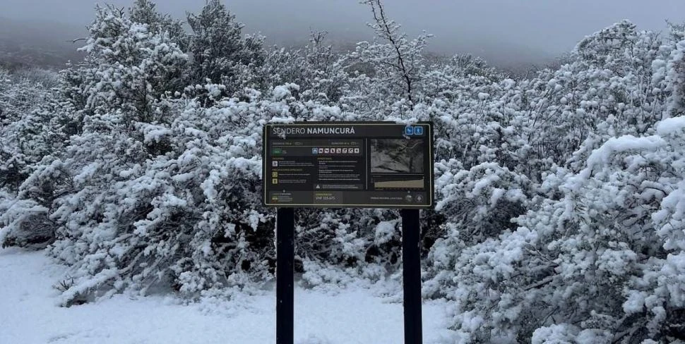 El frío polar impacta en todo el país