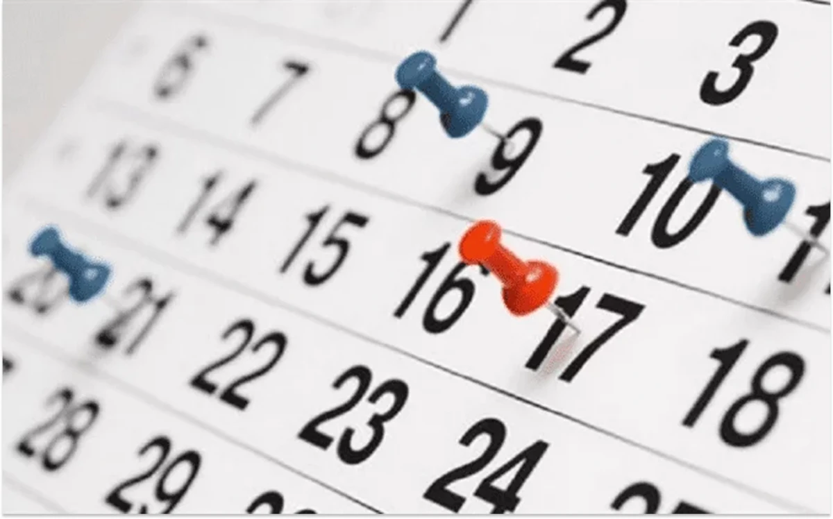 Calendario 2025: ¿cuántos feriados habrá en julio?