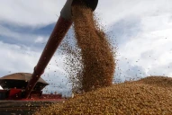 Productores tucumanos cuestionan la suba de retenciones