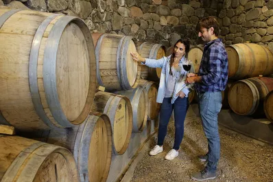 Vacaciones de invierno: qué puntos incluye la emblemática Ruta del Vino de Tucumán