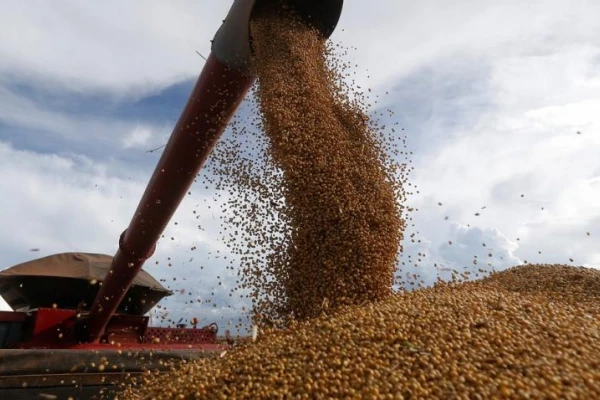 Productores tucumanos cuestionan la suba de retenciones