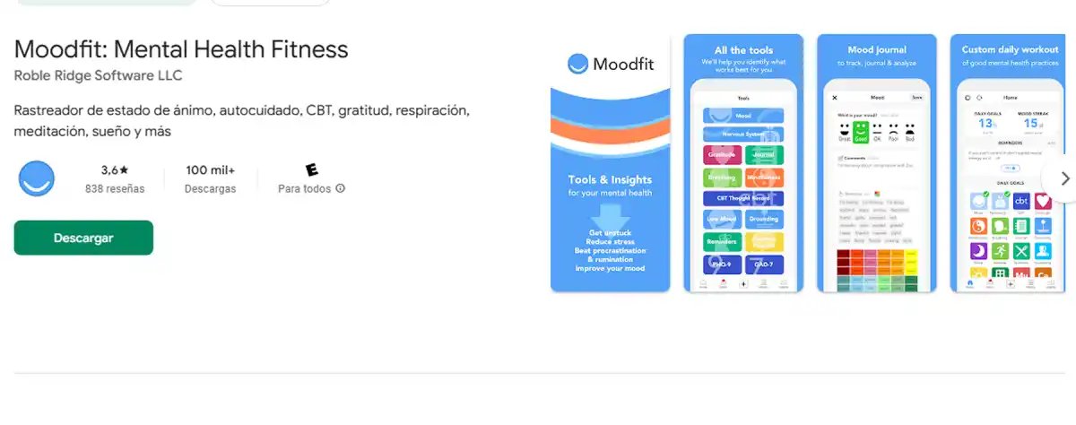 MOODFIT. Ideal para quienes quieren conocerse mejor y detectar patrones en su bienestar emocional. / CAPTURA DE PANTALLA