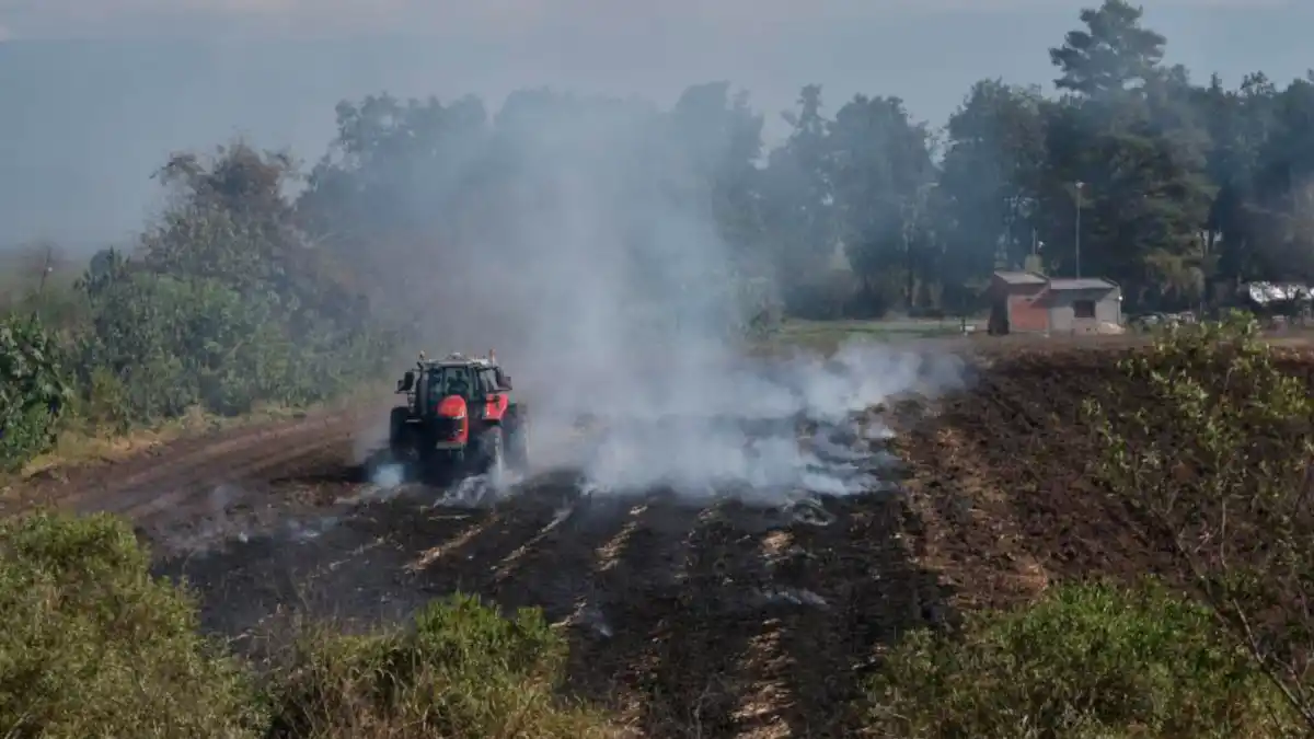 En la zona sur de la provincia, un vehículo trabaja sobre rastrojo quemado durante junio de 2025.