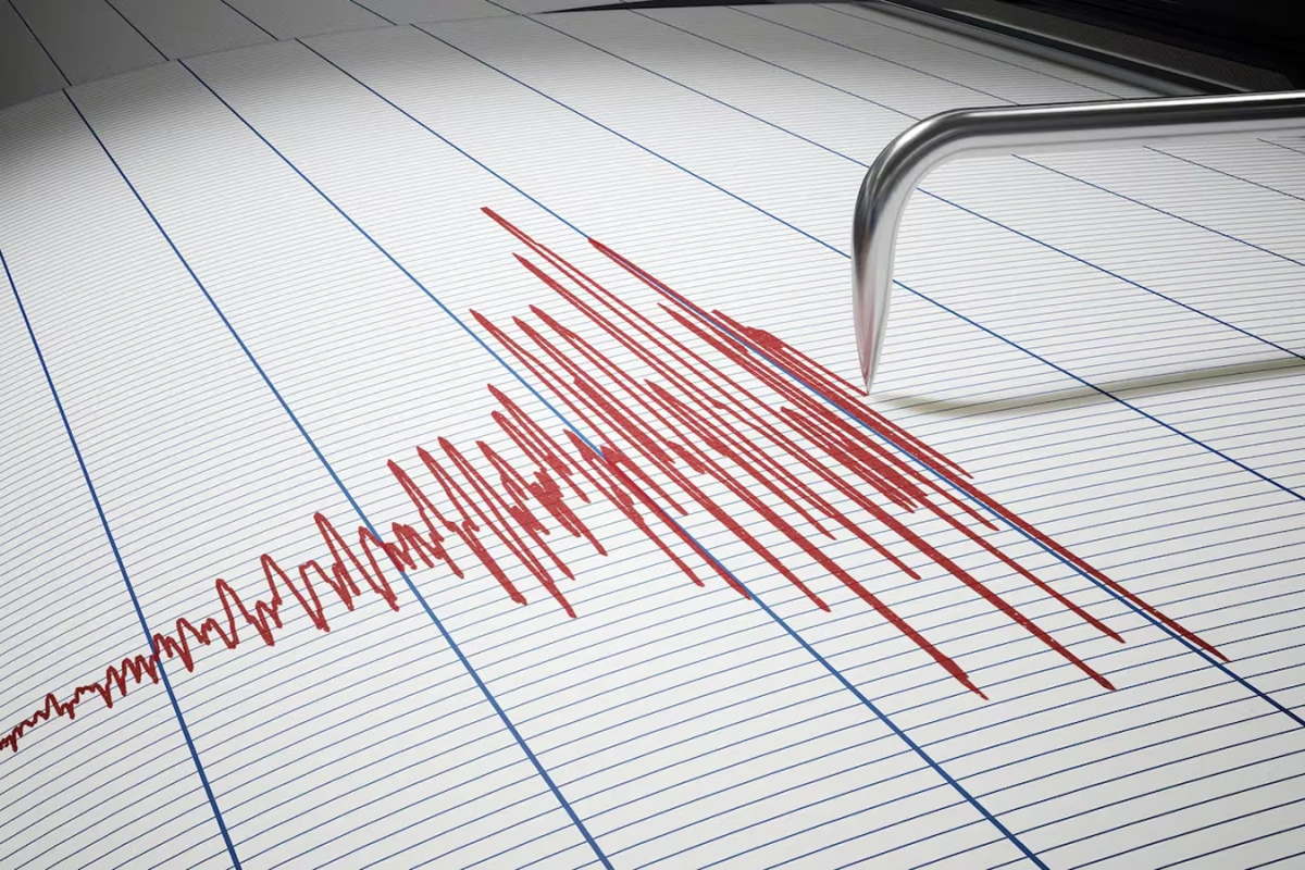Un temblor sacudió a la región del Biobío. 