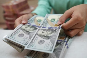 Dólar blue y oficial en vivo: a cuánto cotiza este martes 23 de septiembre de 2025