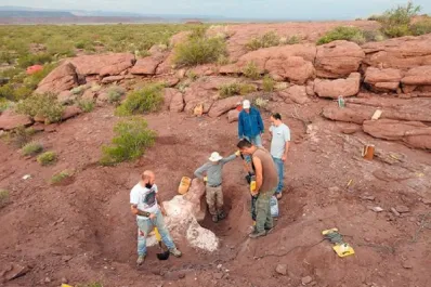 Investigadores del Conicet hallaron restos de un dinosaurio que vivió hace 95 millones de años