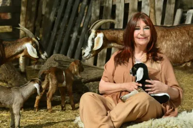 Horóscopo chino de julio: qué cambios y oportunidades le esperan a cada signo, según Ludovica Squirru