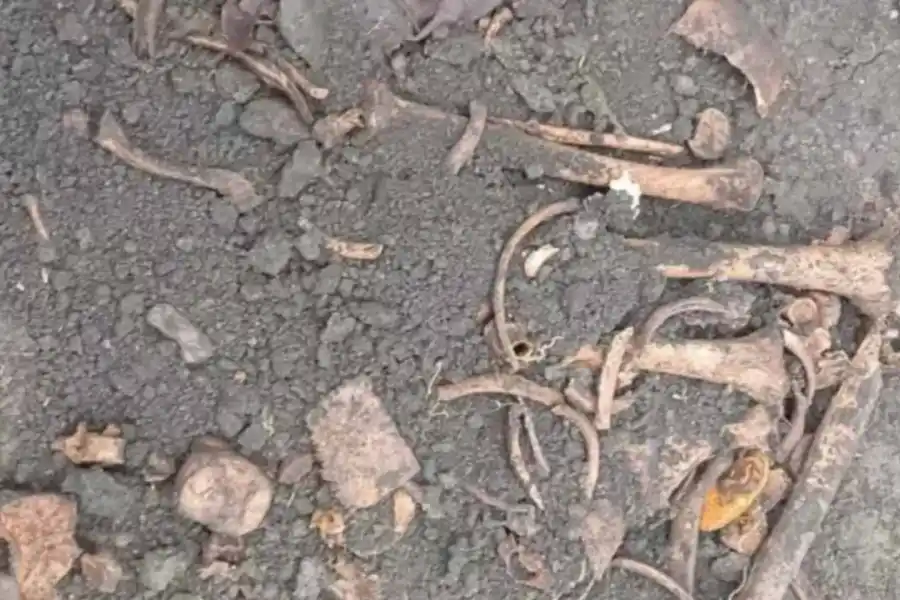 Macabro hallazgo en la casa que habitó Cerati: se conocieron los escalofriantes detalles de la autopsia