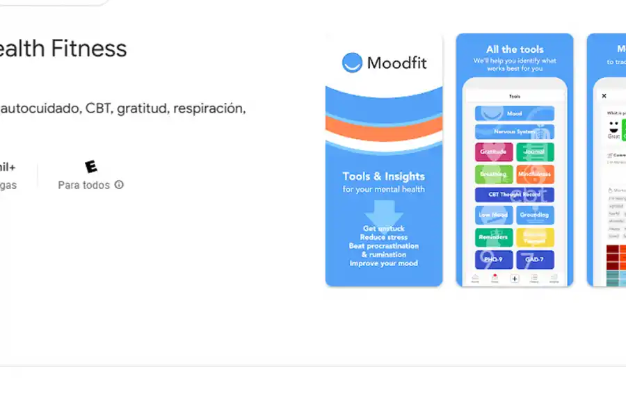 MOODFIT. Ideal para quienes quieren conocerse mejor y detectar patrones en su bienestar emocional. / CAPTURA DE PANTALLA