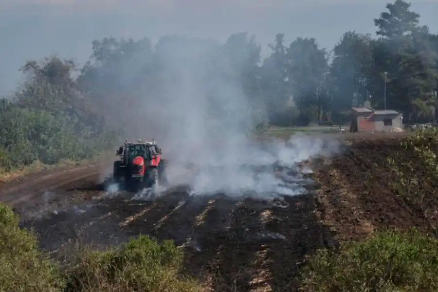 En la zona sur de la provincia, un vehículo trabaja sobre rastrojo quemado durante junio de 2025.