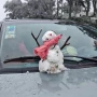 Muñecos de nieve