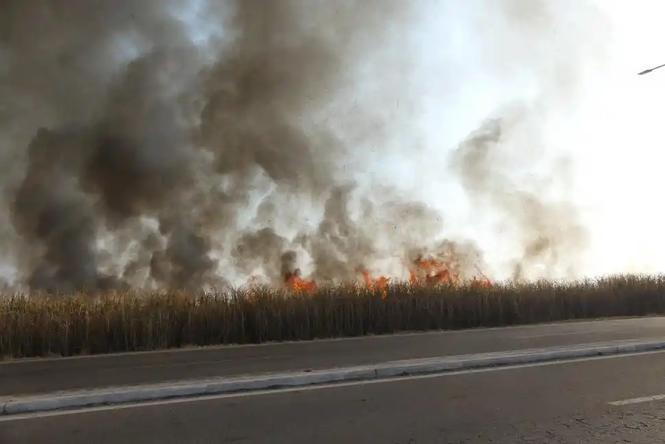 la gaceta / fotos de osvaldo ripoll