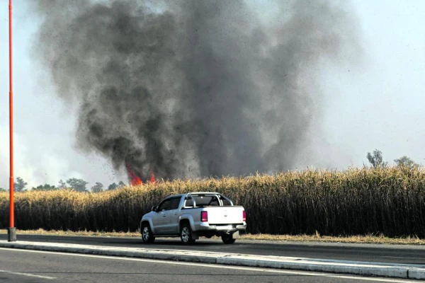 Comenzó el operativo para evitar la quema de cañaverales