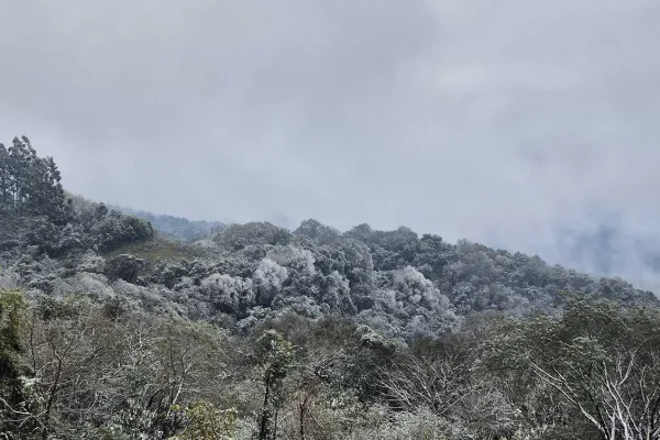 Alerta naranja por frío extremo en Tucumán: cuántos grados hará el fin de semana