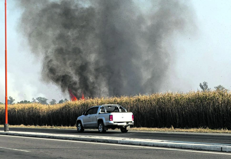 QUEMA. Las brigadas arrancaron los controles en los cañaverales. 